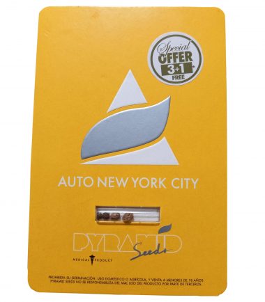 NEW YORK CITY AUTO X 3+1 - PYRAMID SEEDS