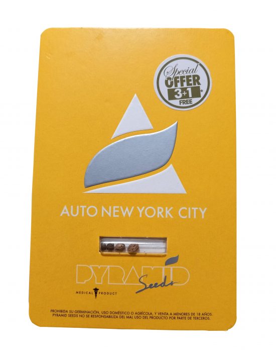 NEW YORK CITY AUTO X 3+1 - PYRAMID SEEDS