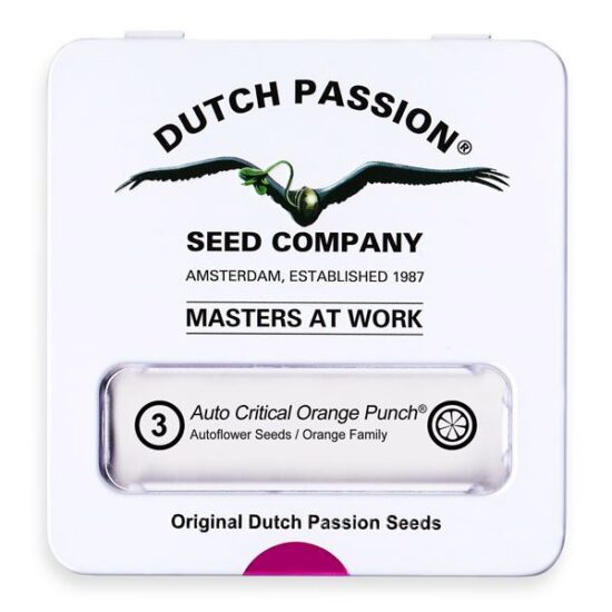 dutch-passion-critical-orange-punch-AUTO-x3