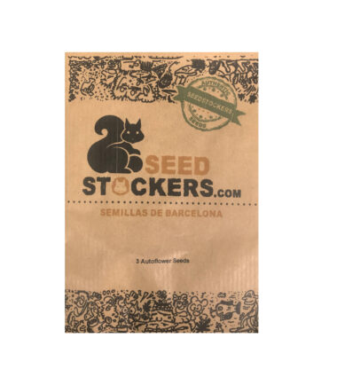 seed_stockers_OG_KUSH_AUTO X3