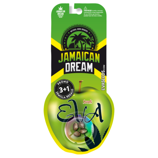 Jamaican_dream_eva_seeds_semillas_cannabis_sativa_empaque (1)