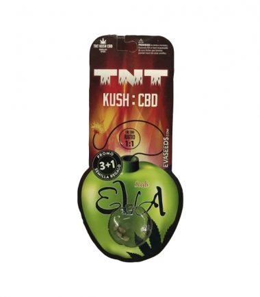 TNT KUSH CBD FEM X3+1 - EVA SEEDS
