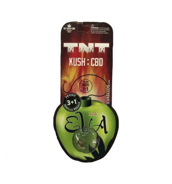 TNT KUSH CBD FEM X3+1 - EVA SEEDS