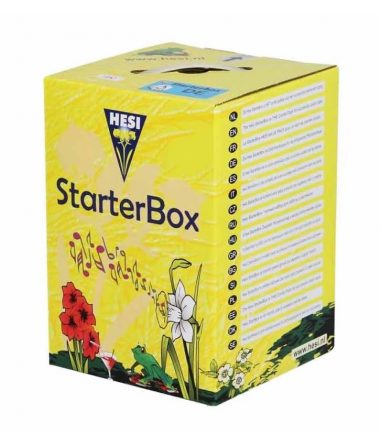 STARTER-BOX-SUELO-HESI