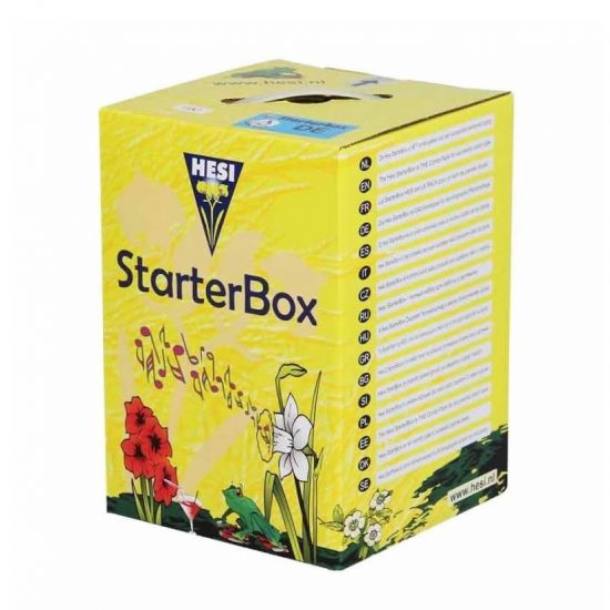 STARTER-BOX-SUELO-HESI